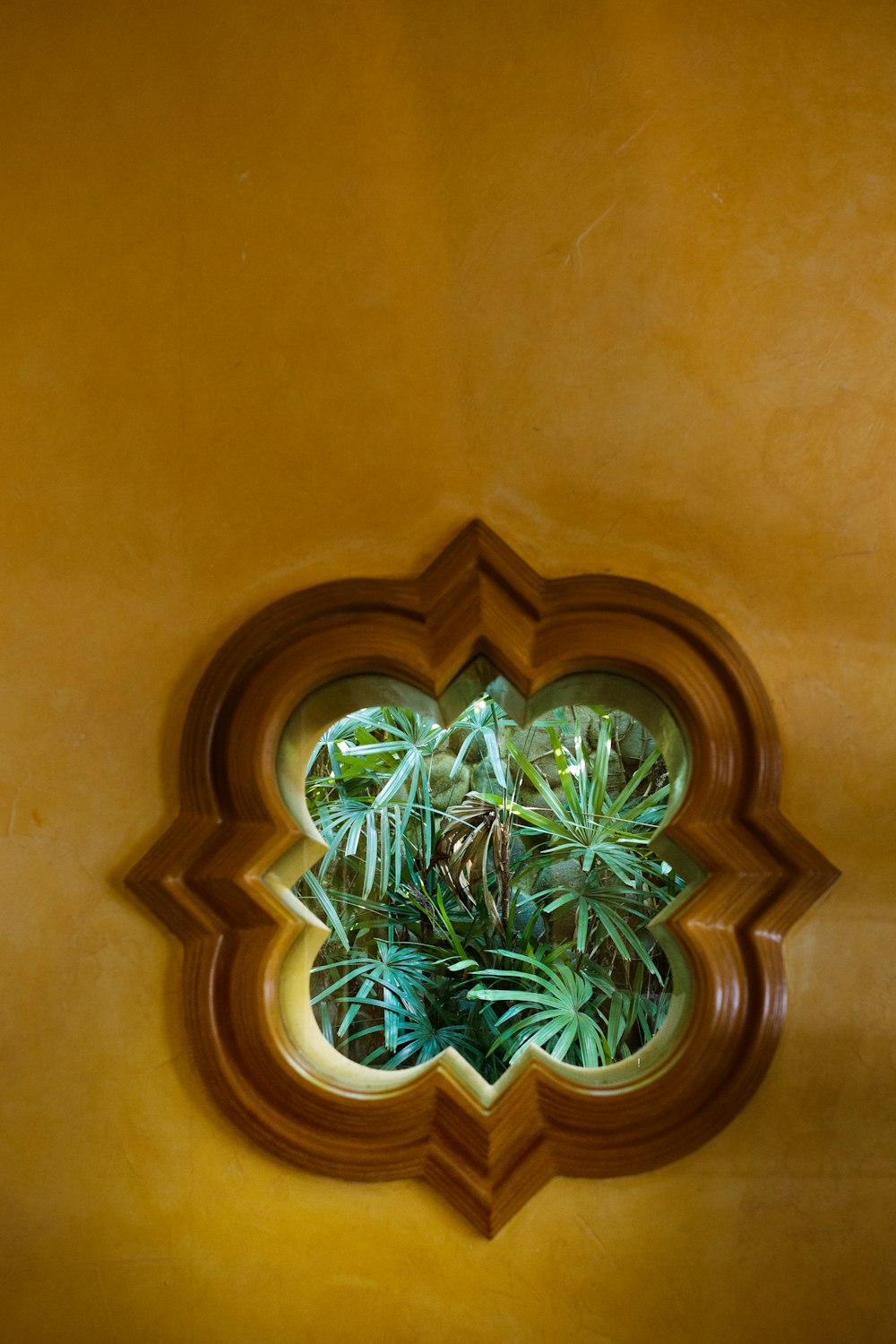 green plant on brown wooden window