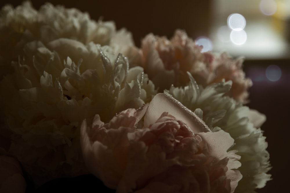 white flower in macro lens