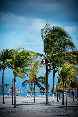 Les Ilets de la Plage resort