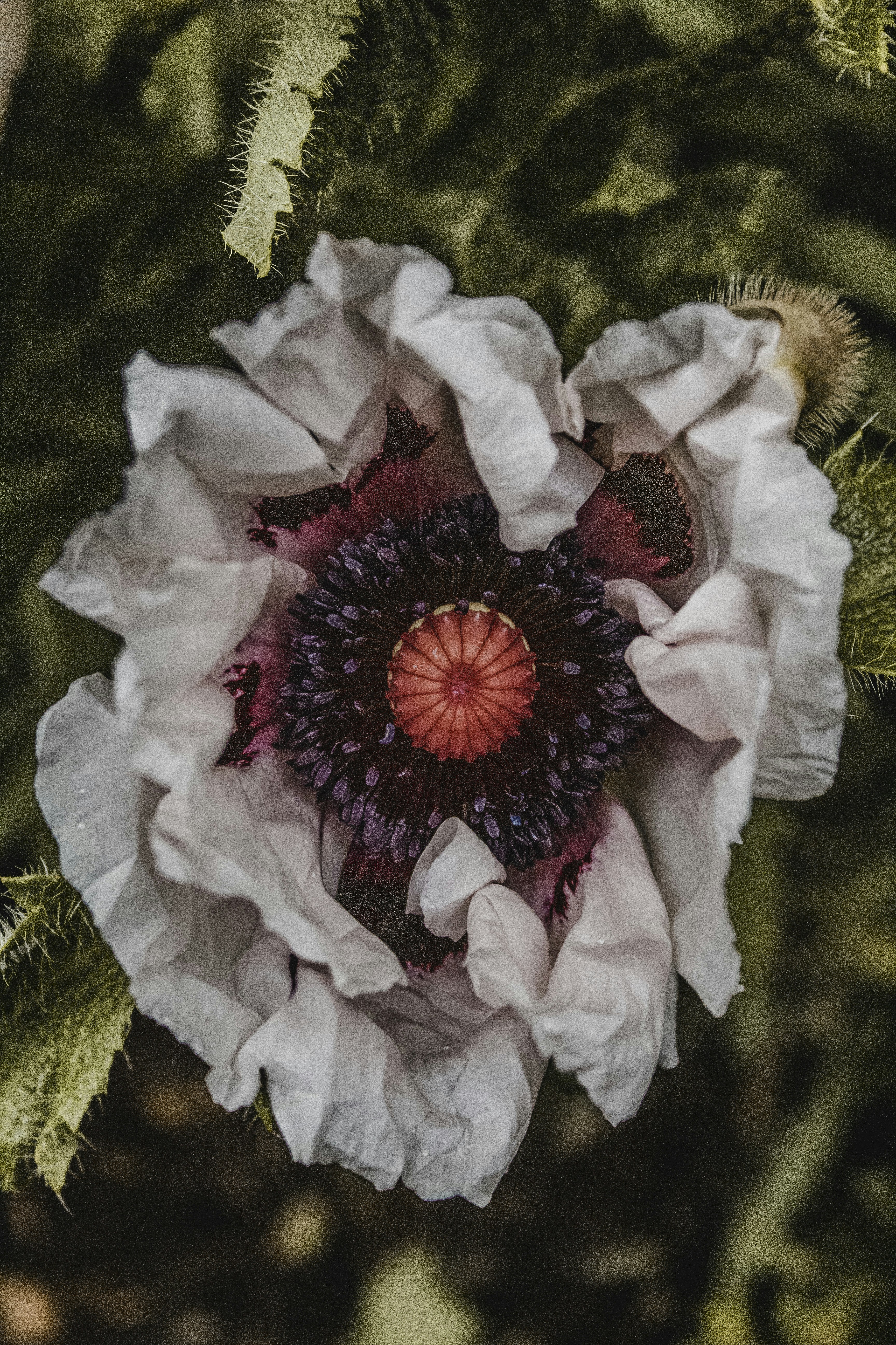 Photo by colefreeman