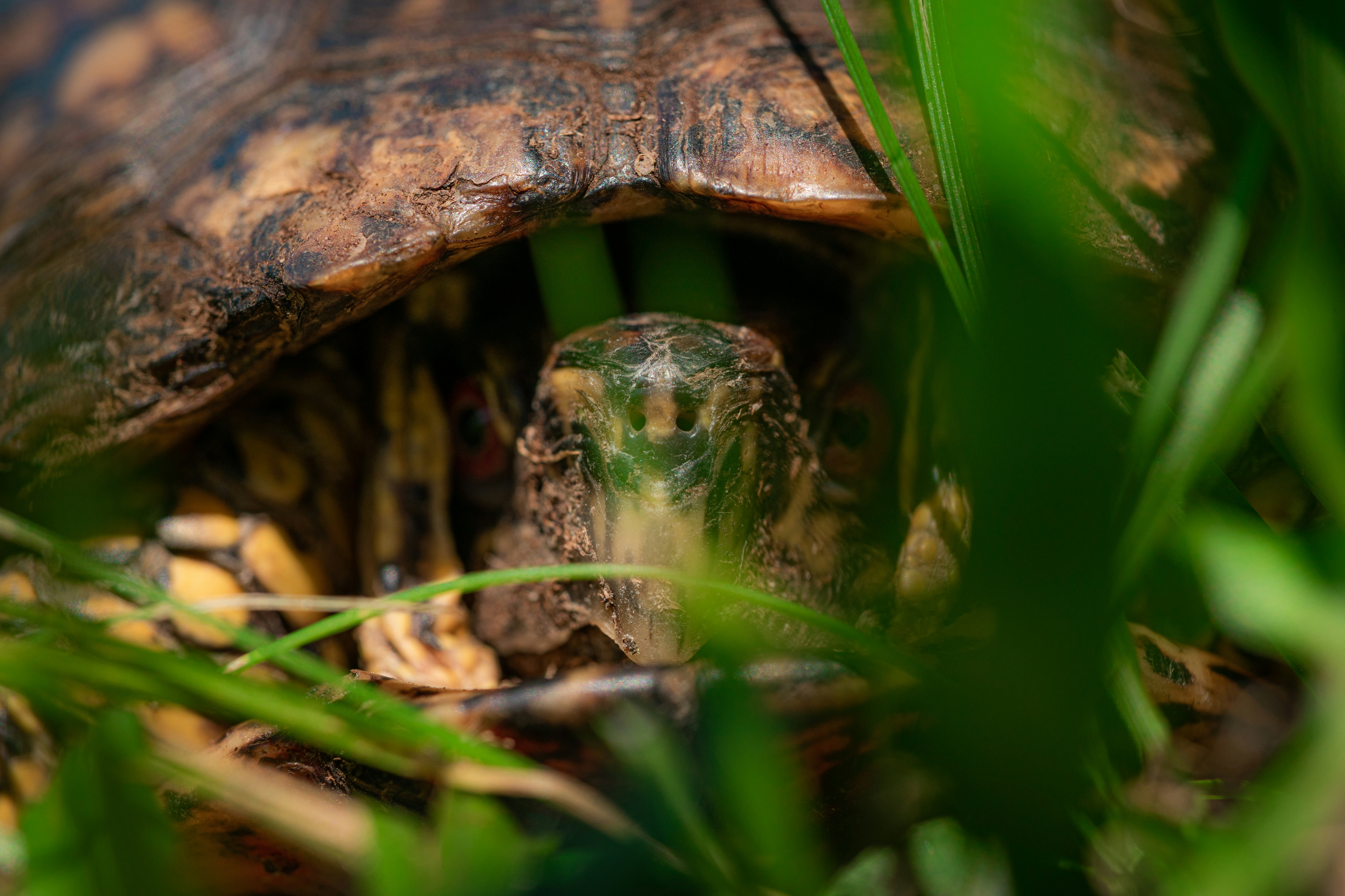 Photo by timothycdykes