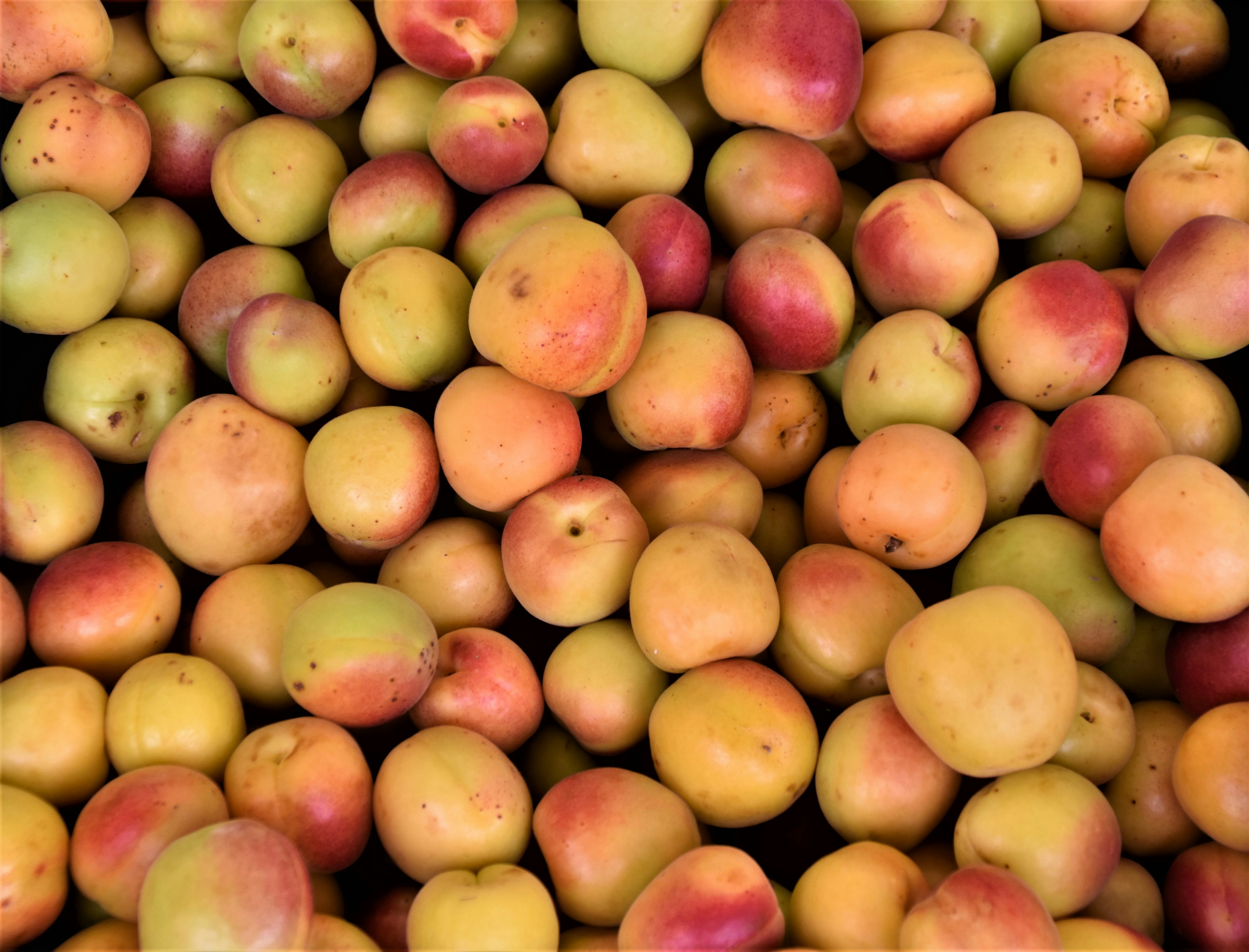 yellow and red apple fruits, apricots fruits on a market stand of a fruit market 