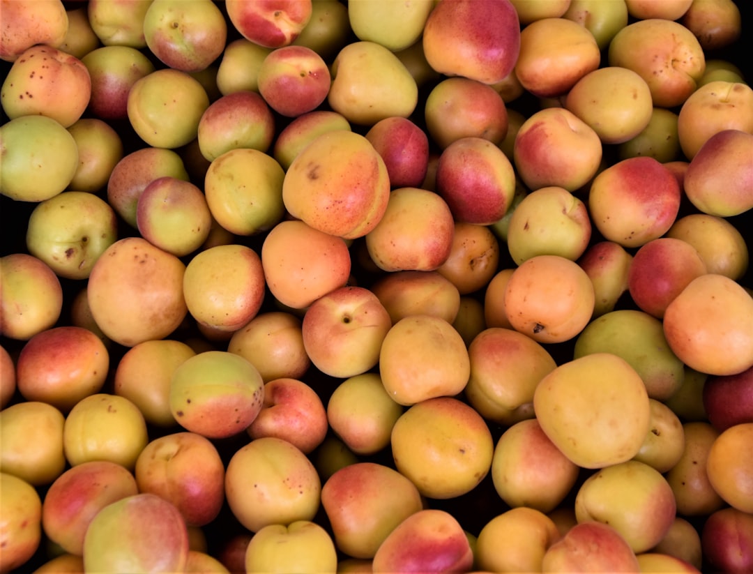 yellow and red apple fruits