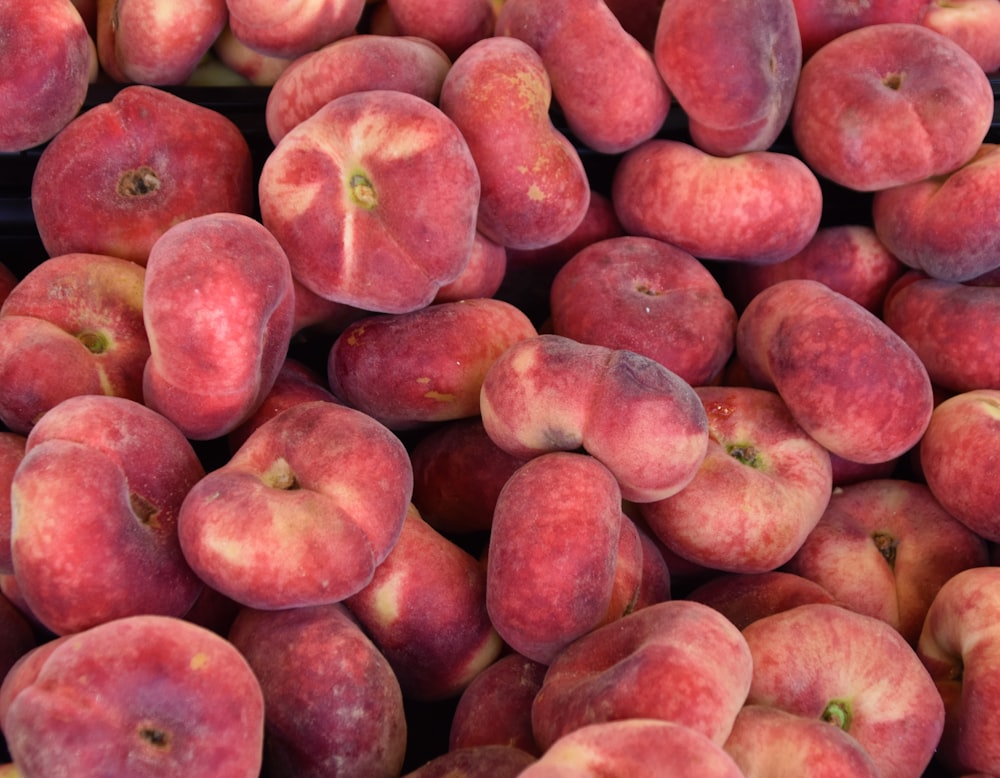 red apples in close up photography