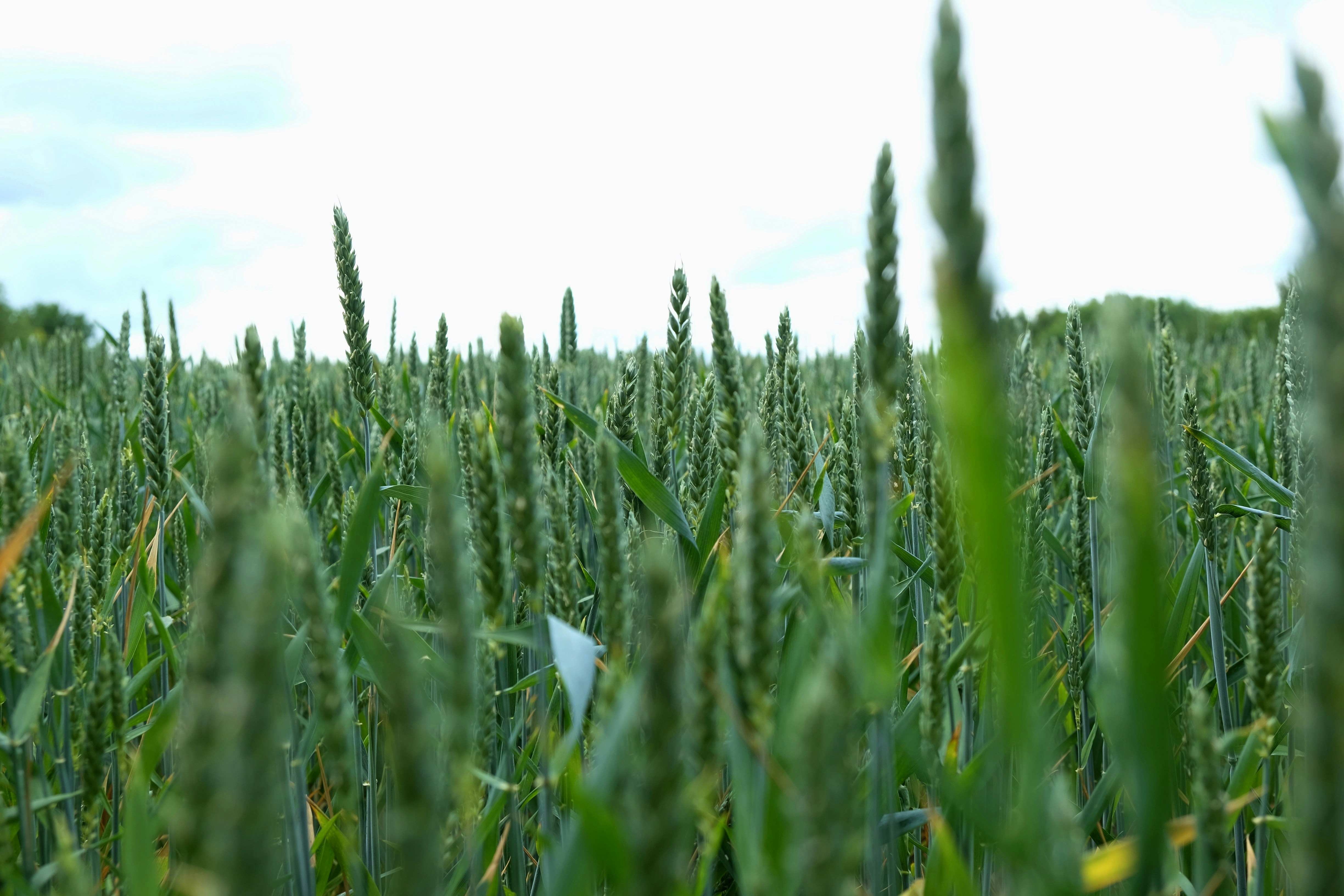 Photo by sabinamusicrich