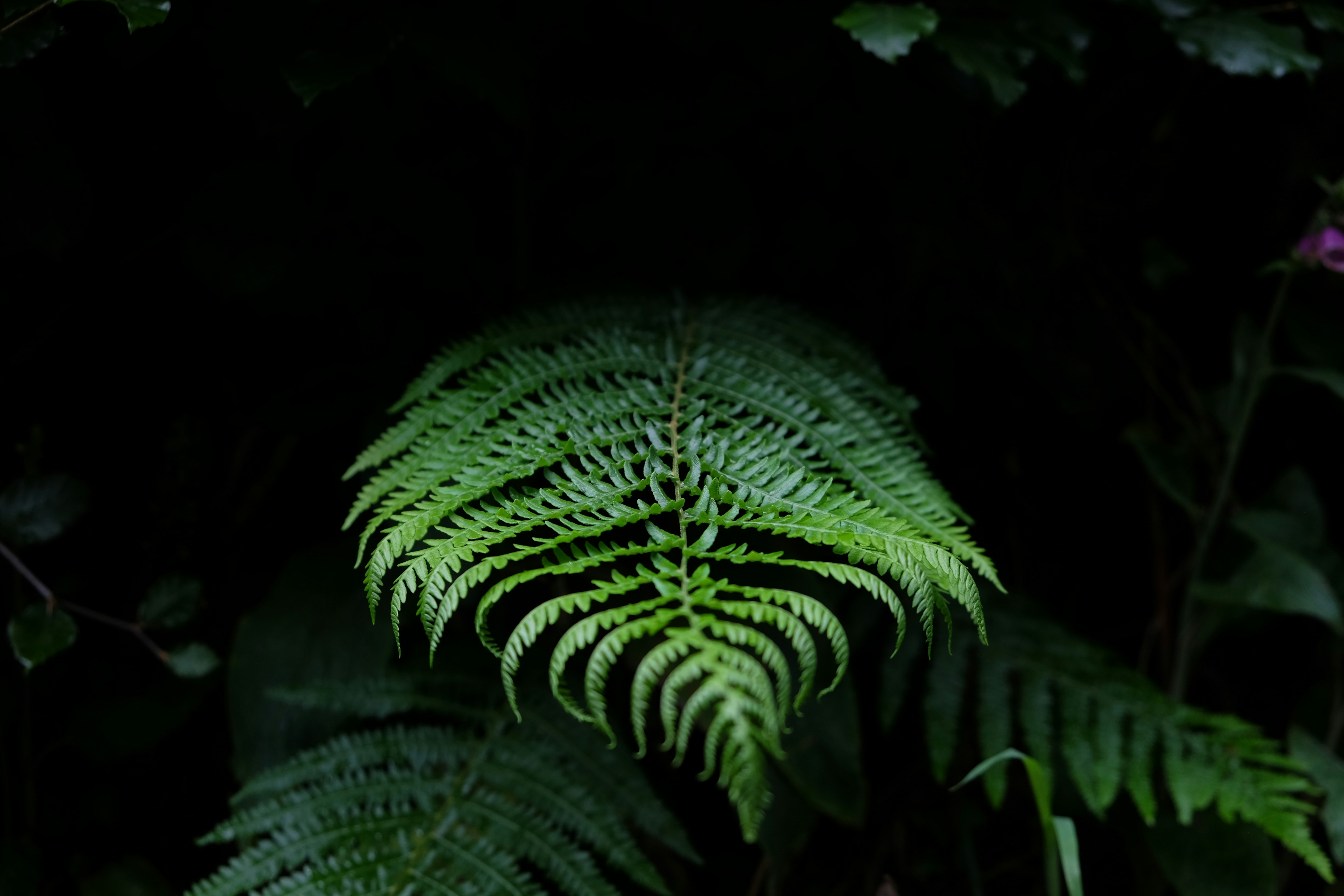 Photo by sabinamusicrich