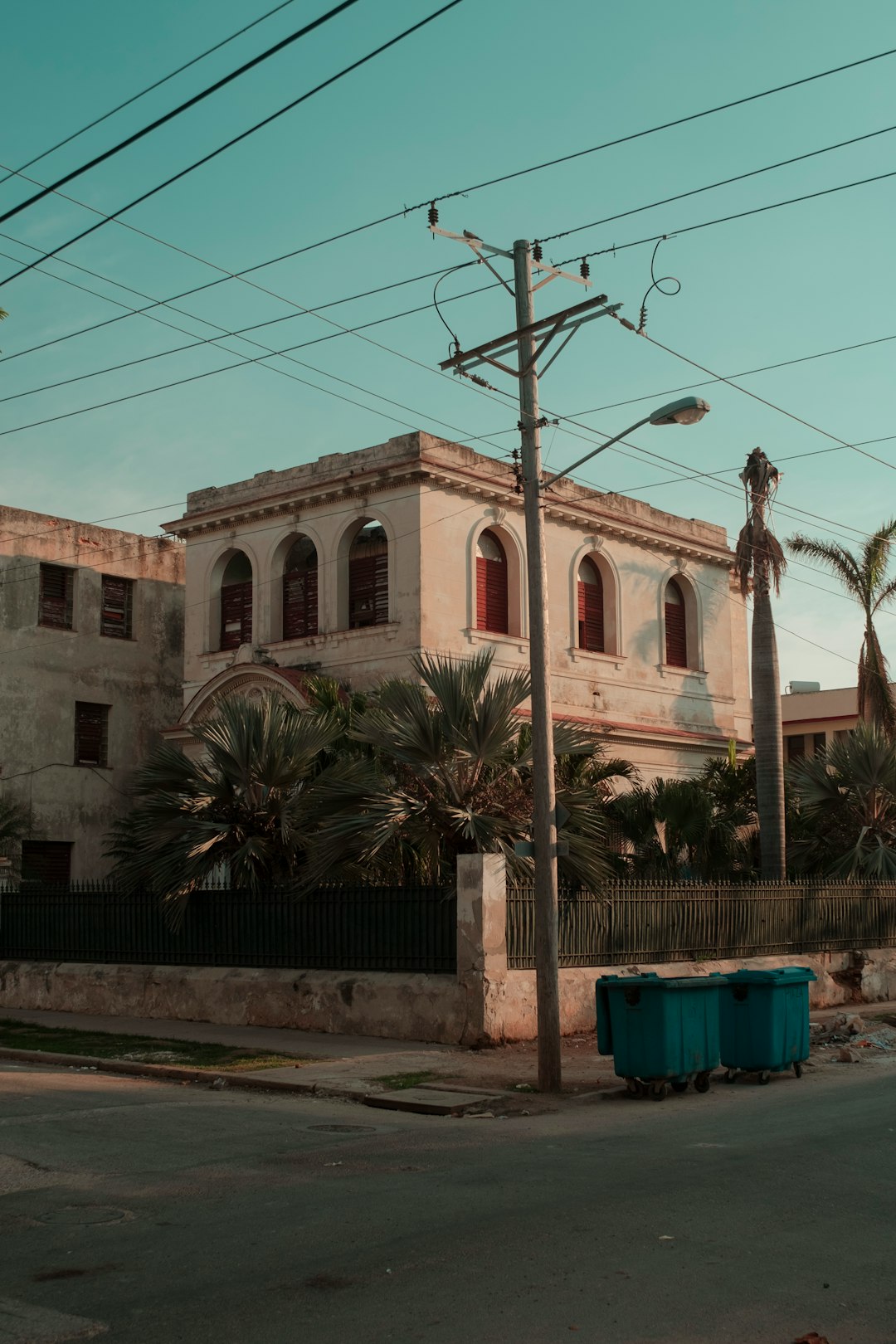 green palm tree near brown concrete building during daytime