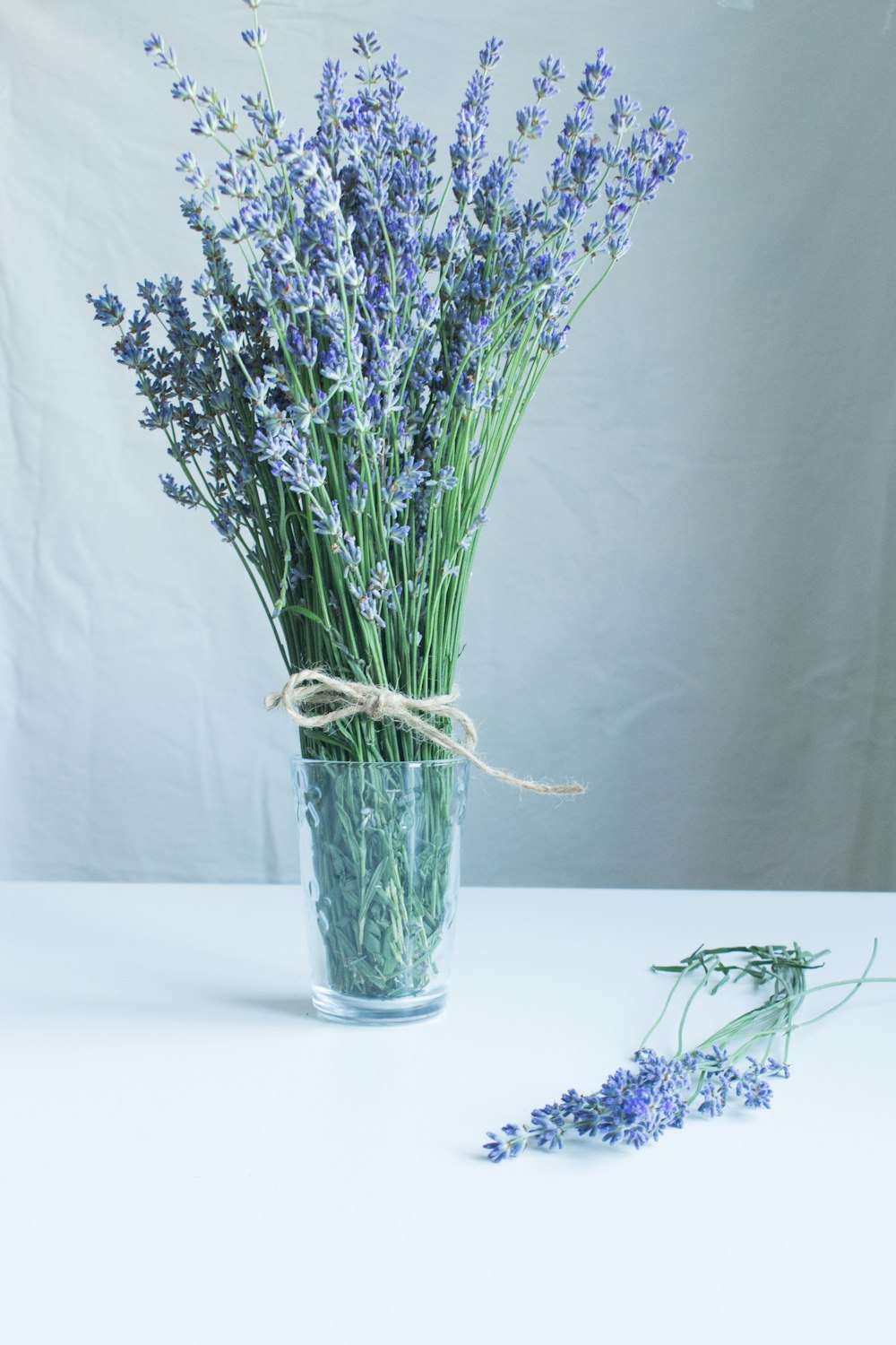 purple flowers in clear glass vase