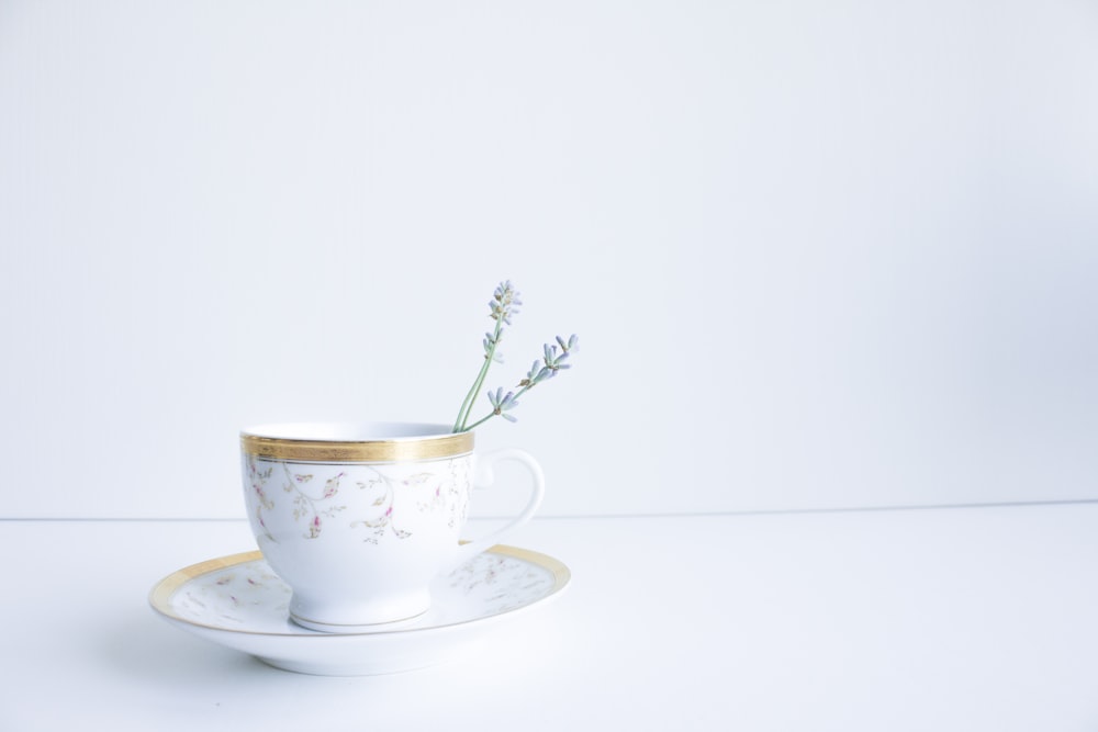 white and green floral ceramic teacup on saucer