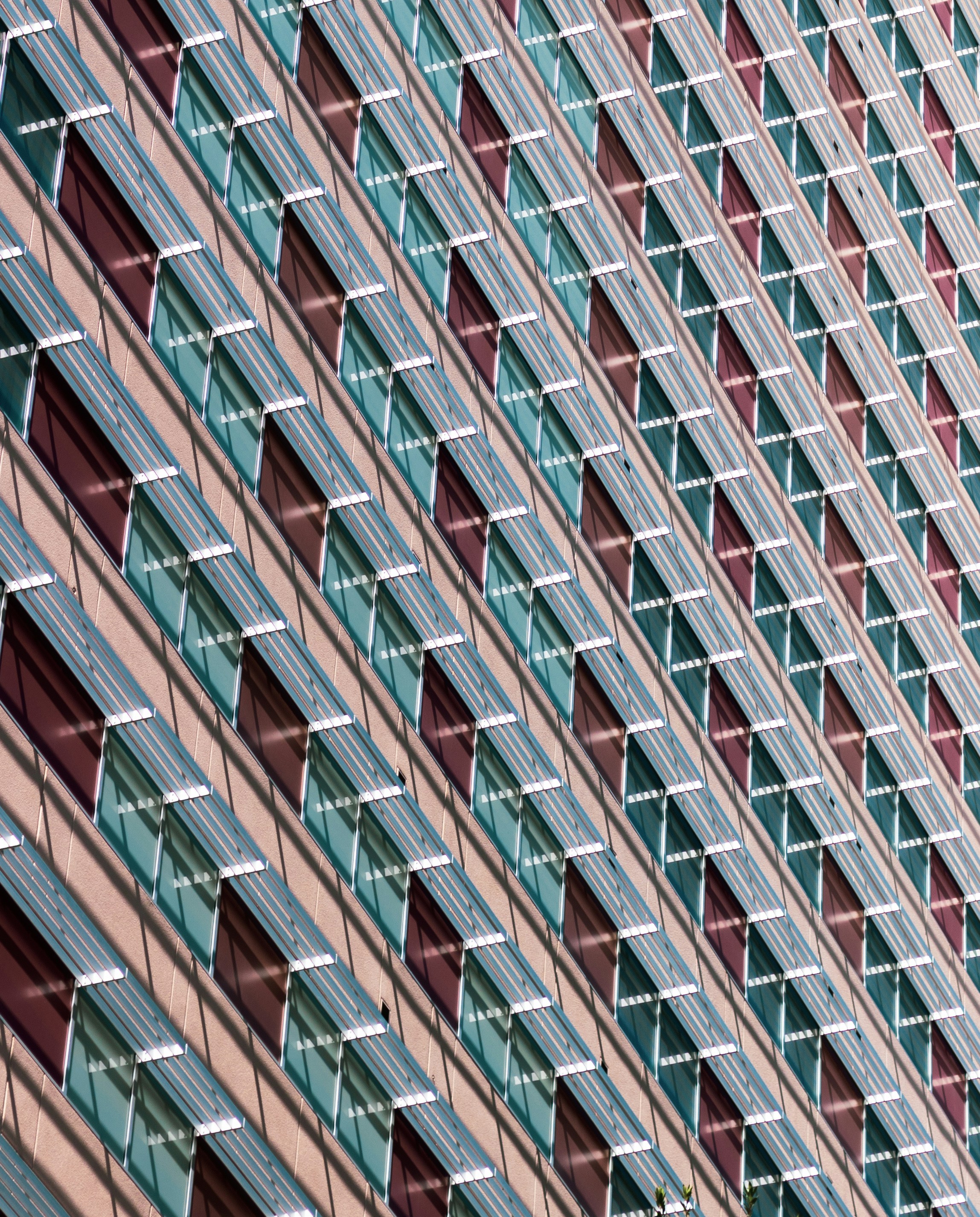 Photo by abaileyvisuals