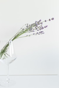 Silken Touch