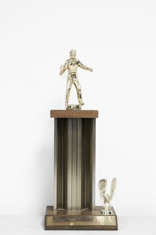 Close-up of a trophy resting on a wooden table surrounded by golf balls and tees.