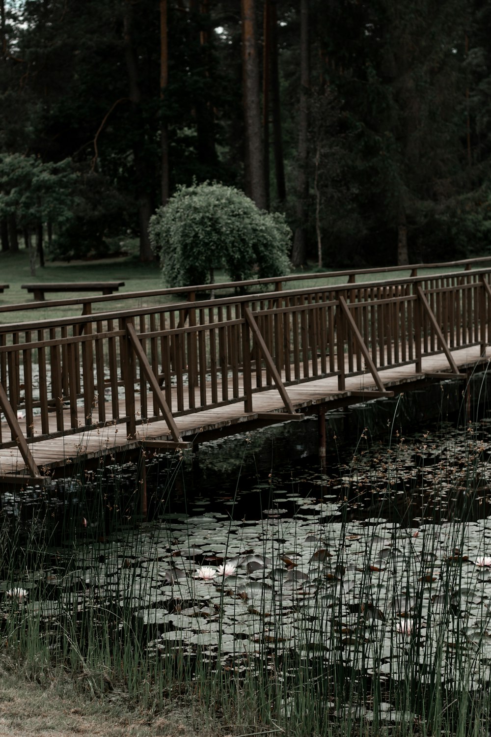 brown wooden bridge over river