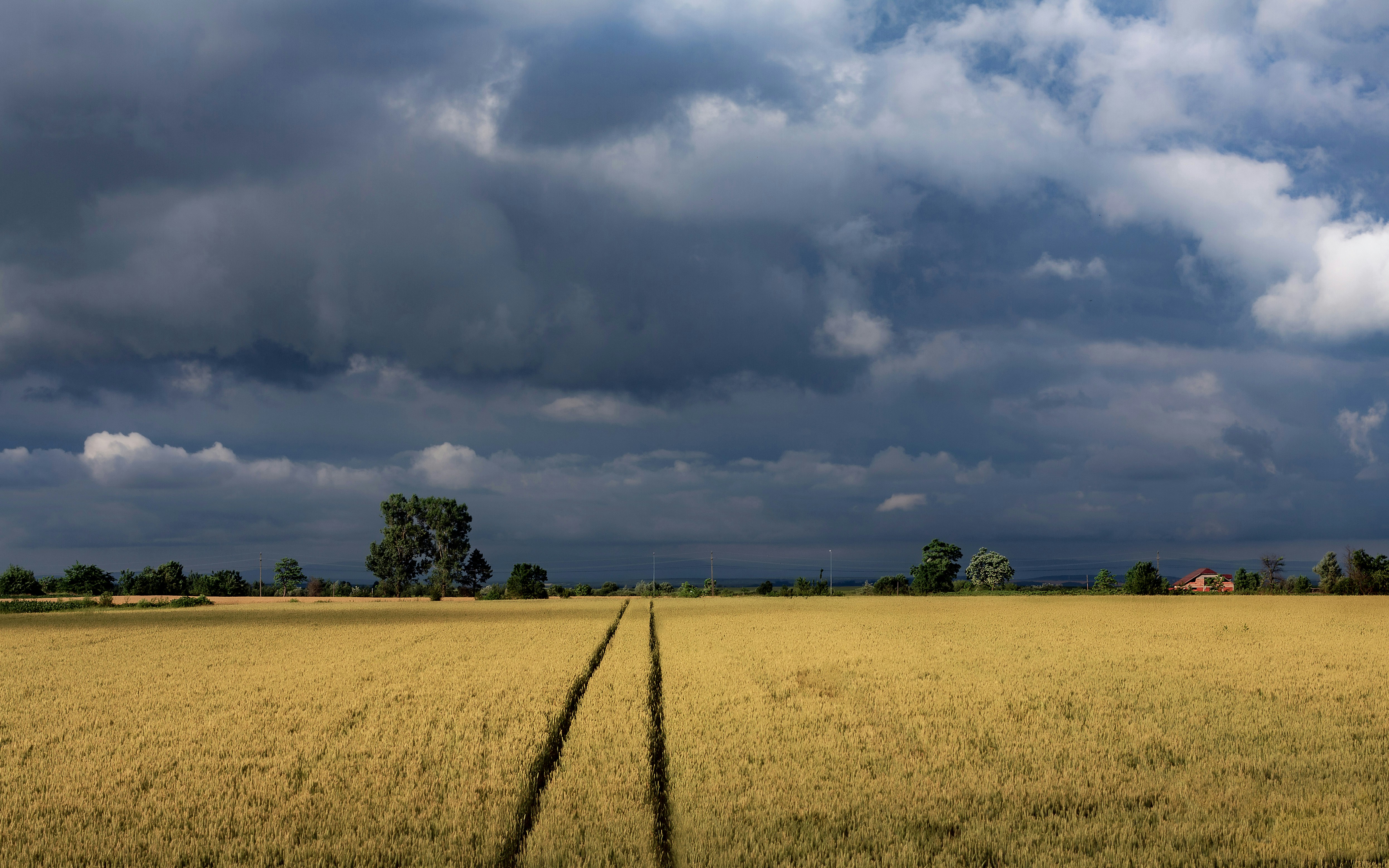 Photo by sylvester_s