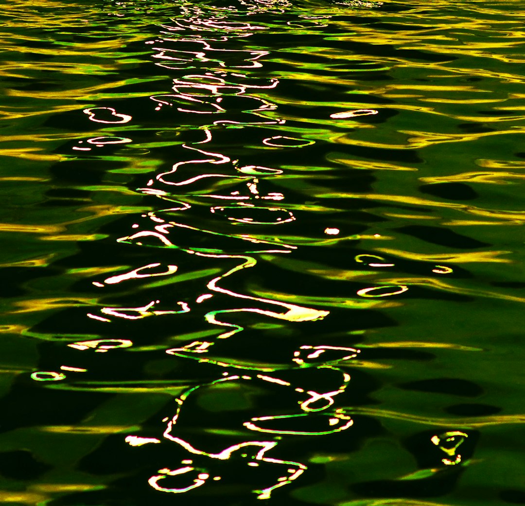 green water with white and black stones