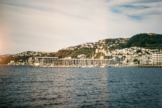 white concrete building near body of water during daytime in Wellington Harbour New Zealand