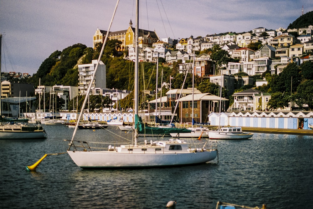 white boat on body of water during daytime