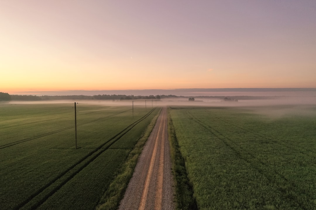 green grass field near body of water during sunset