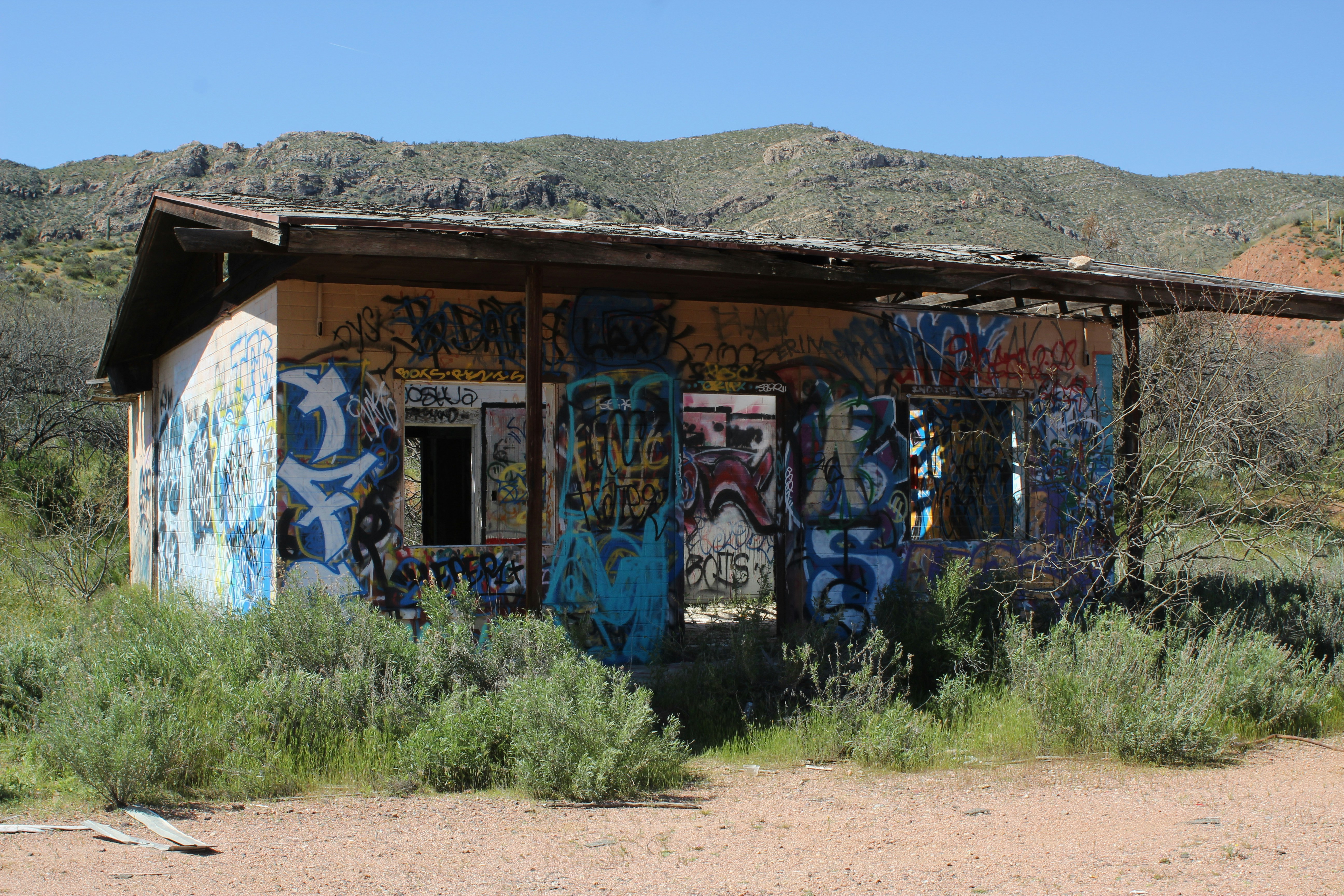 blue and brown painted house