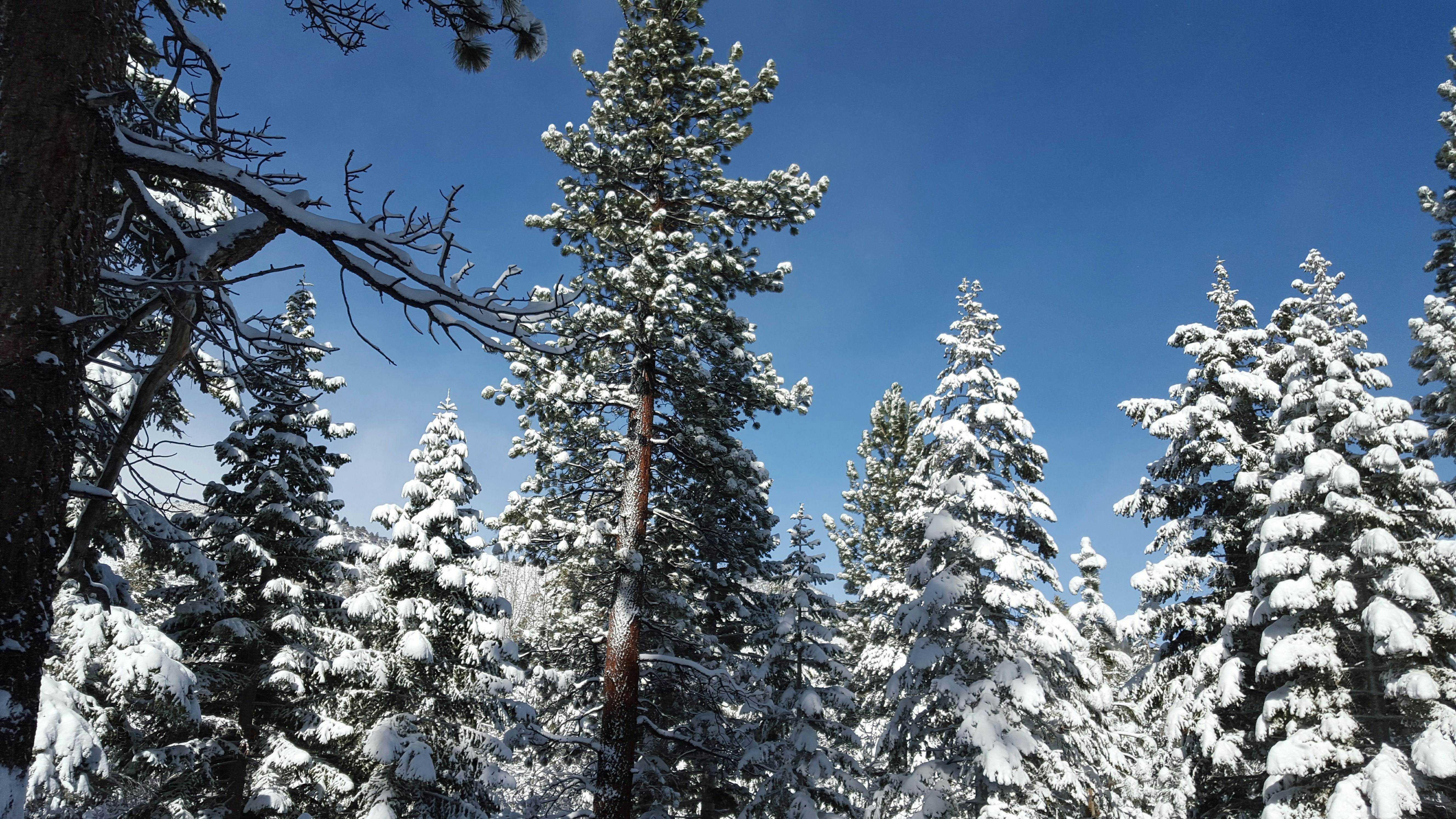 Photo by bonniekitahata