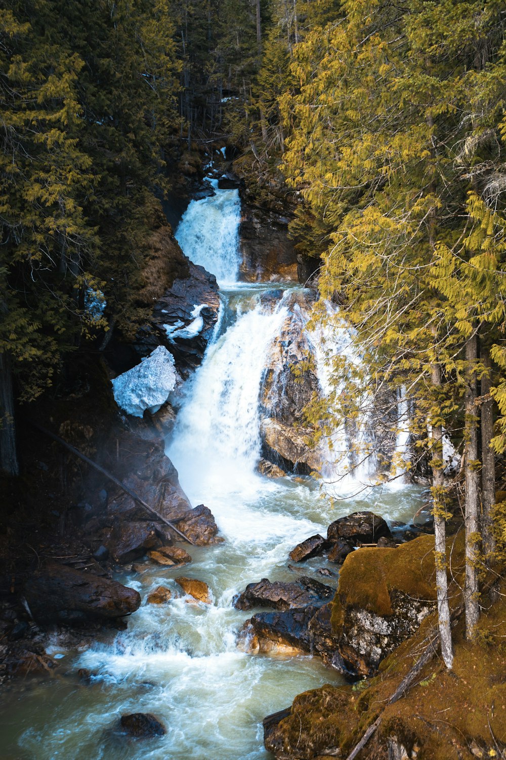 昼間の森の真ん中にある滝