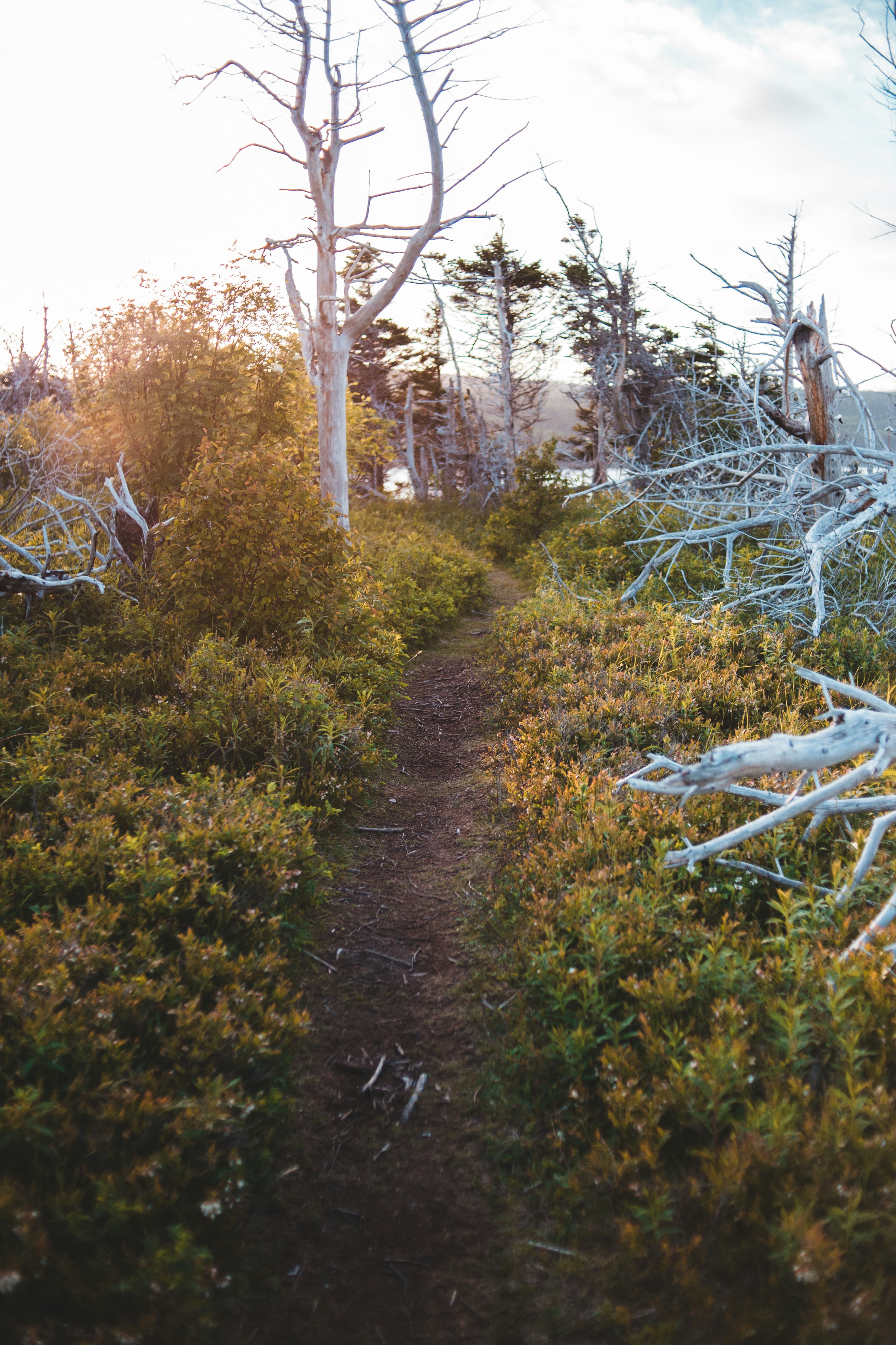 Photo by introspectivedsgn