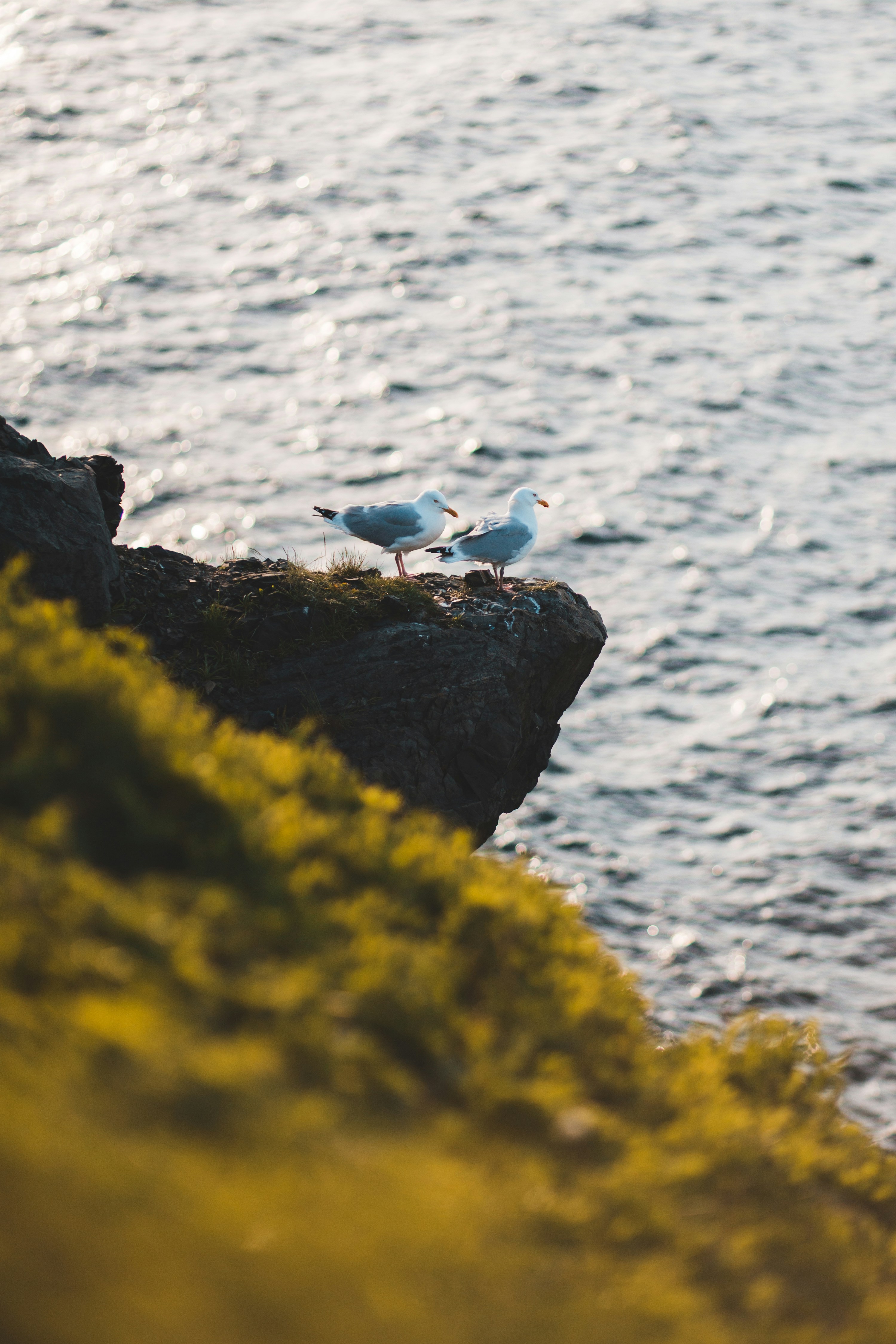 Photo by introspectivedsgn