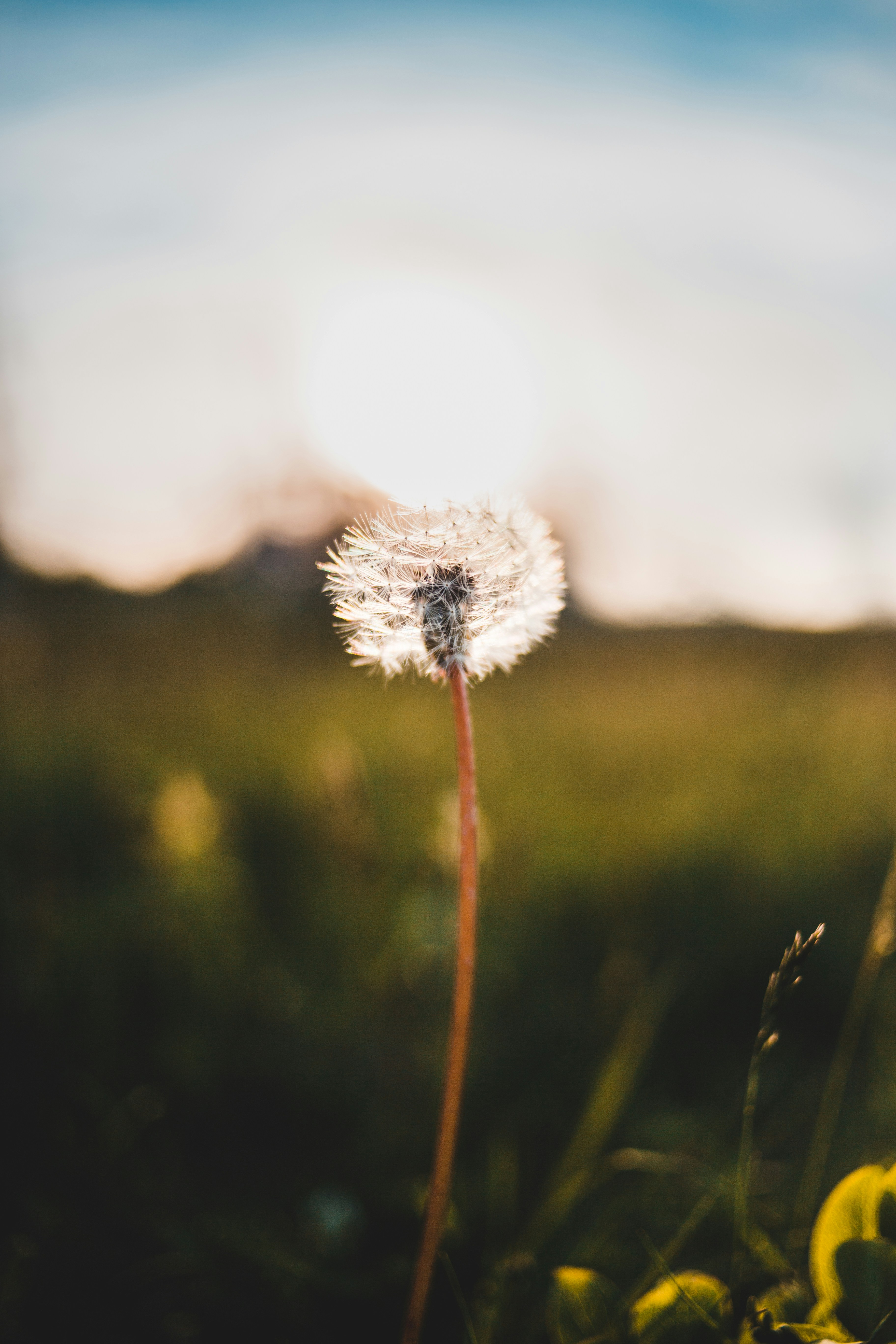 Photo by introspectivedsgn