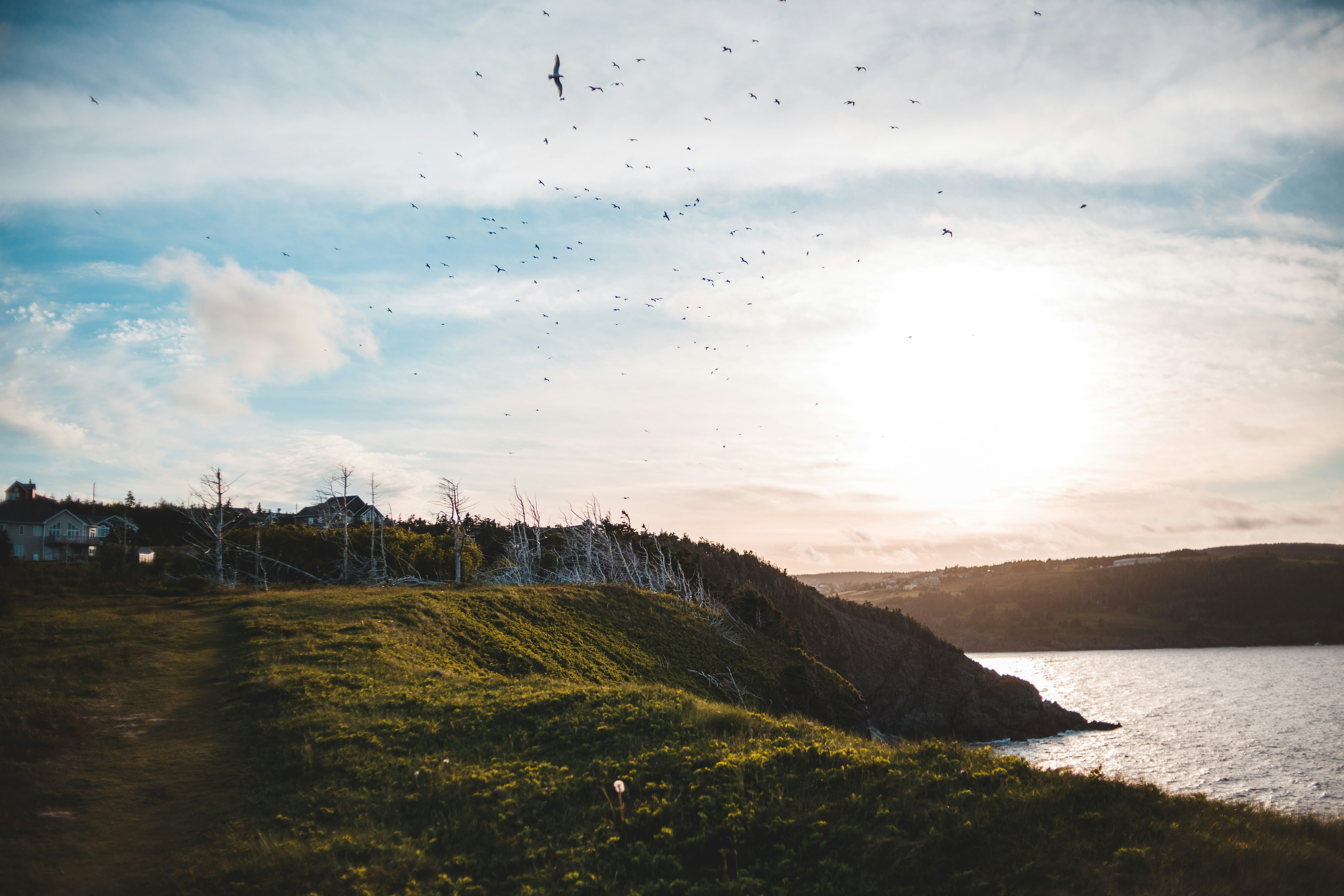 Photo by introspectivedsgn