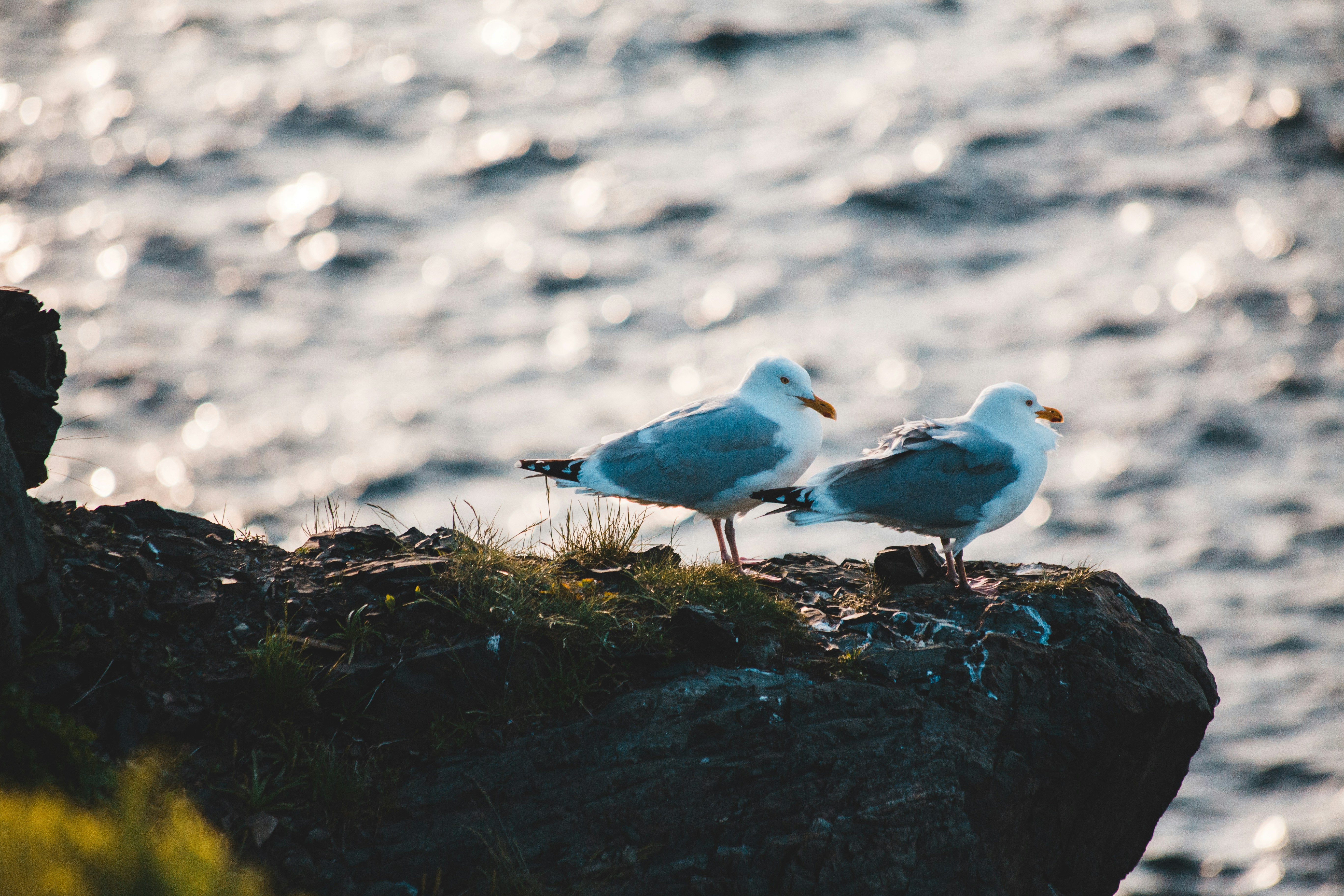 Photo by introspectivedsgn