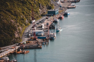 A harbor with multiple boats docked alongside a pier. The waterfront is accompanied by buildings and a line of parked cars. A large crane is visible near the water's edge, and hints of construction activity can be seen. Lush green hills rise on one side, contrasting with the industrial elements below.