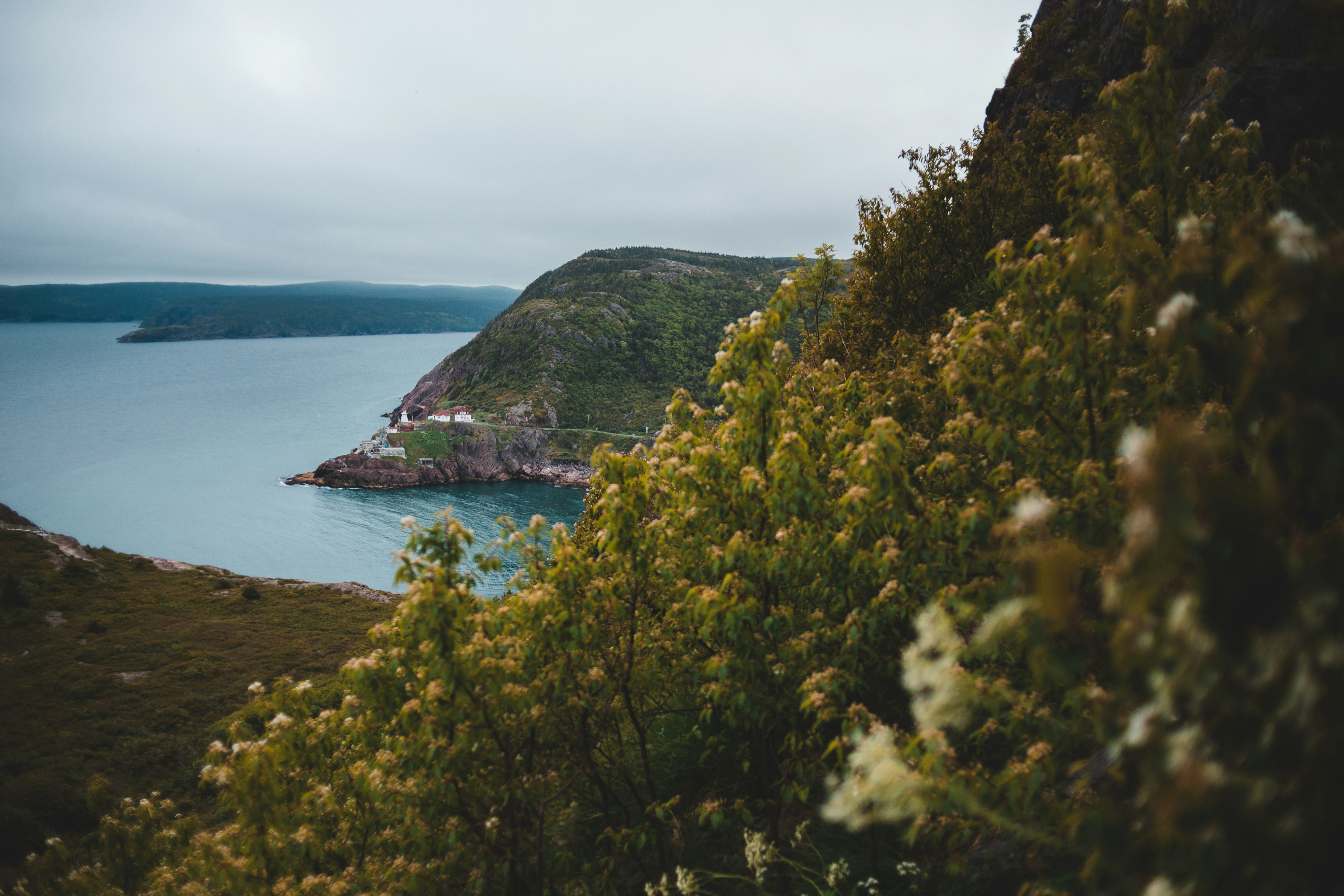 Photo by introspectivedsgn