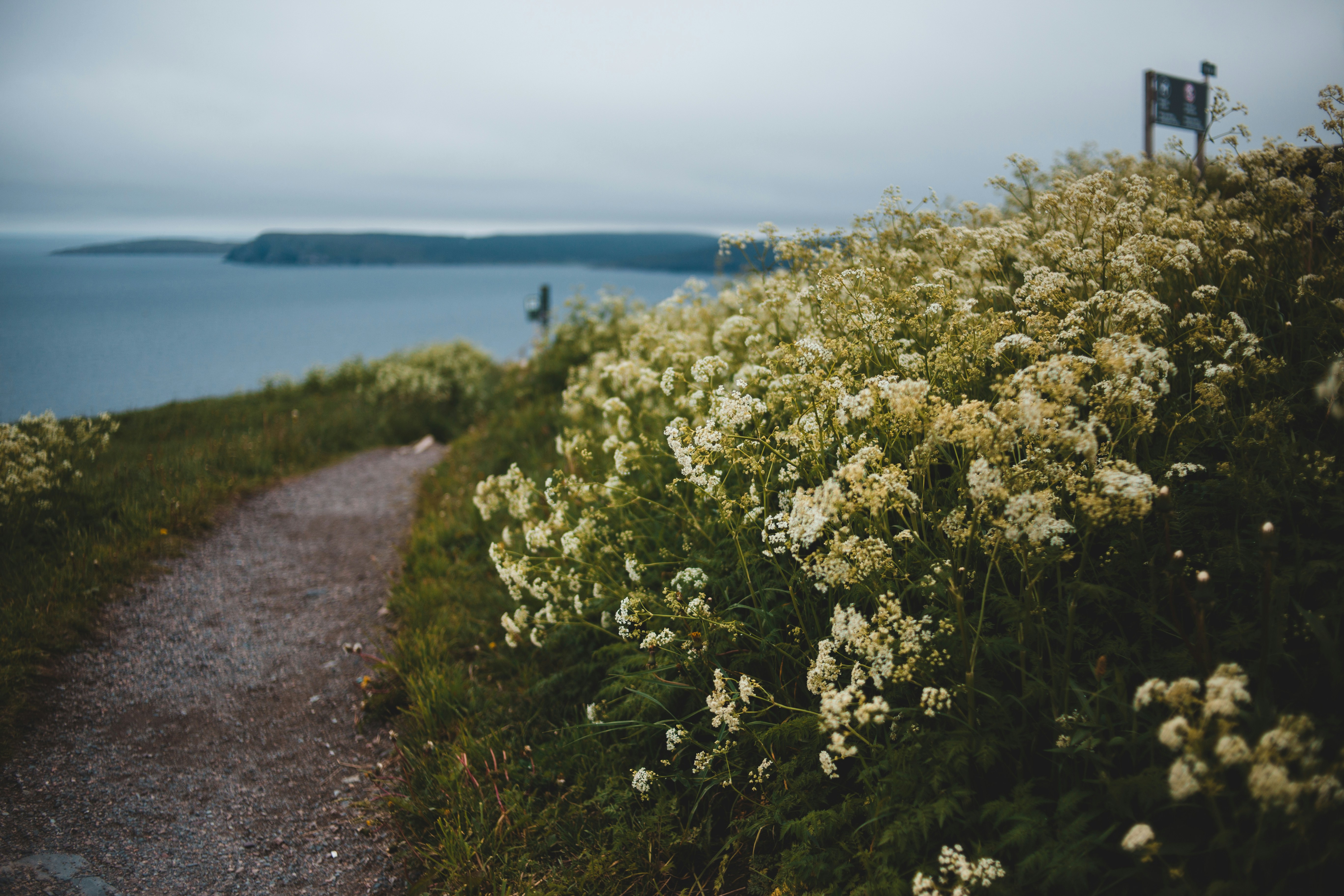 Photo by introspectivedsgn