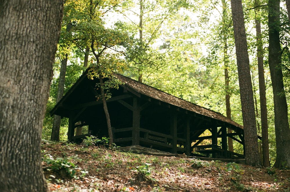 brown wooden house in the woods