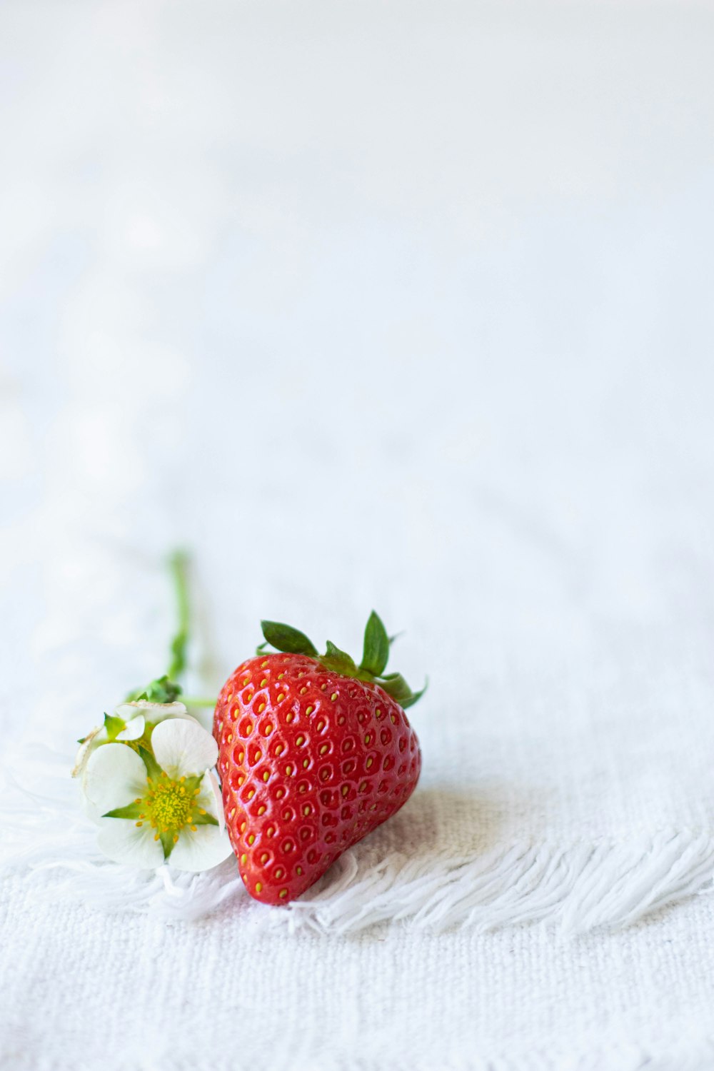 red strawberry on white textile