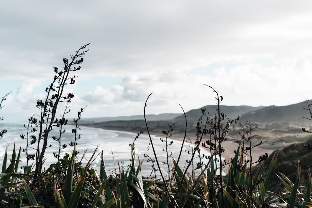 Shore photo spot Muriwai Rangitoto Island