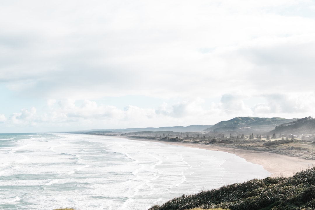 Beach photo spot Muriwai Muriwai Beach