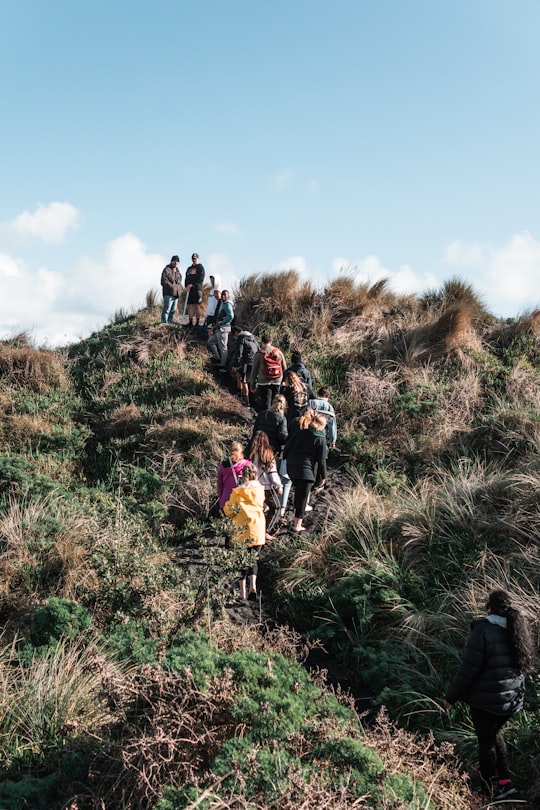 people walking on green grass field during daytime in Muriwai New Zealand