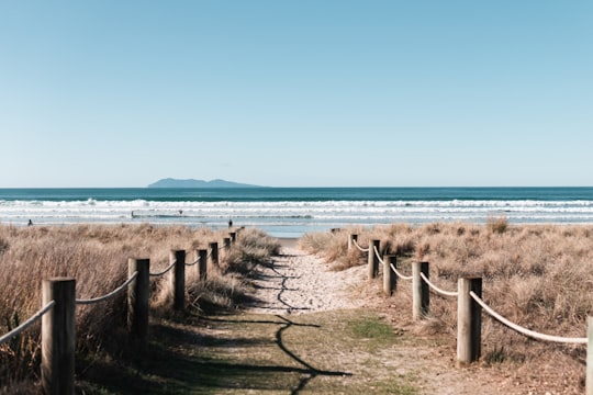 brown wooden fence on seashore during daytime in Waihi New Zealand
