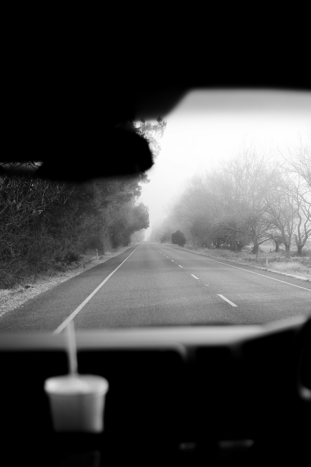 grayscale photo of car on road between trees