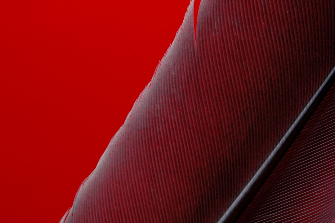 red textile on brown wooden table