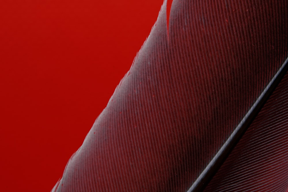 rotes Textil auf braunem Holztisch