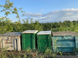 Four weathered wooden bee hives are positioned in a lush green field. The hives are painted in shades of white, green, and blue, and they sit on a wooden platform surrounded by dense vegetation. A tree with sparse leaves stands to the left, while the sky overhead is partly cloudy with patches of blue.