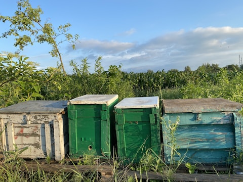 Mobile app displaying hive data and environmental sensors for beekeepers.