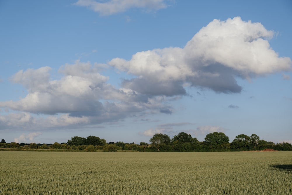 green grass field under blue sky and white clouds during daytime