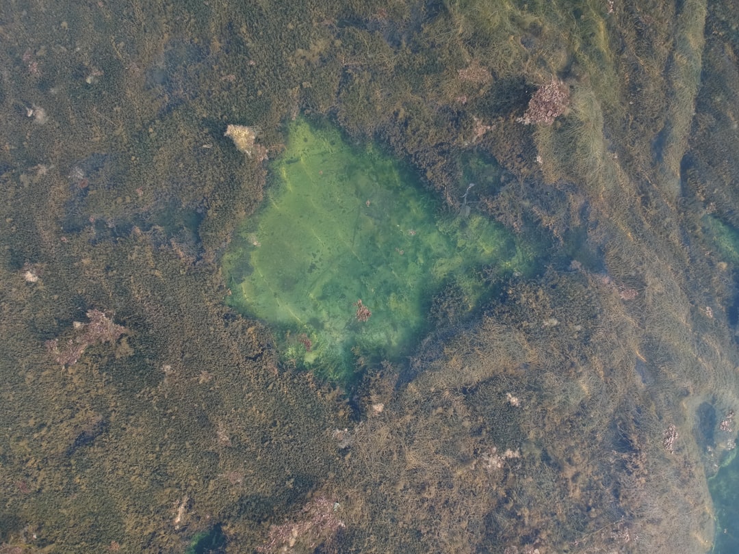 aerial view of green and brown land