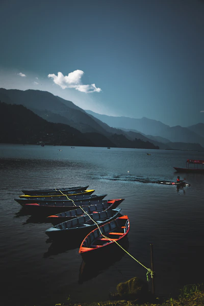 Rowboating on Phewa Lake at sunrise Pokhara