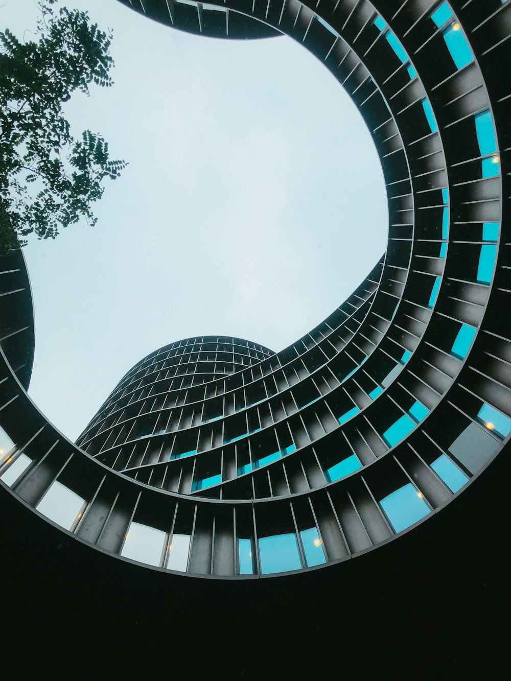 green tree beside spiral building