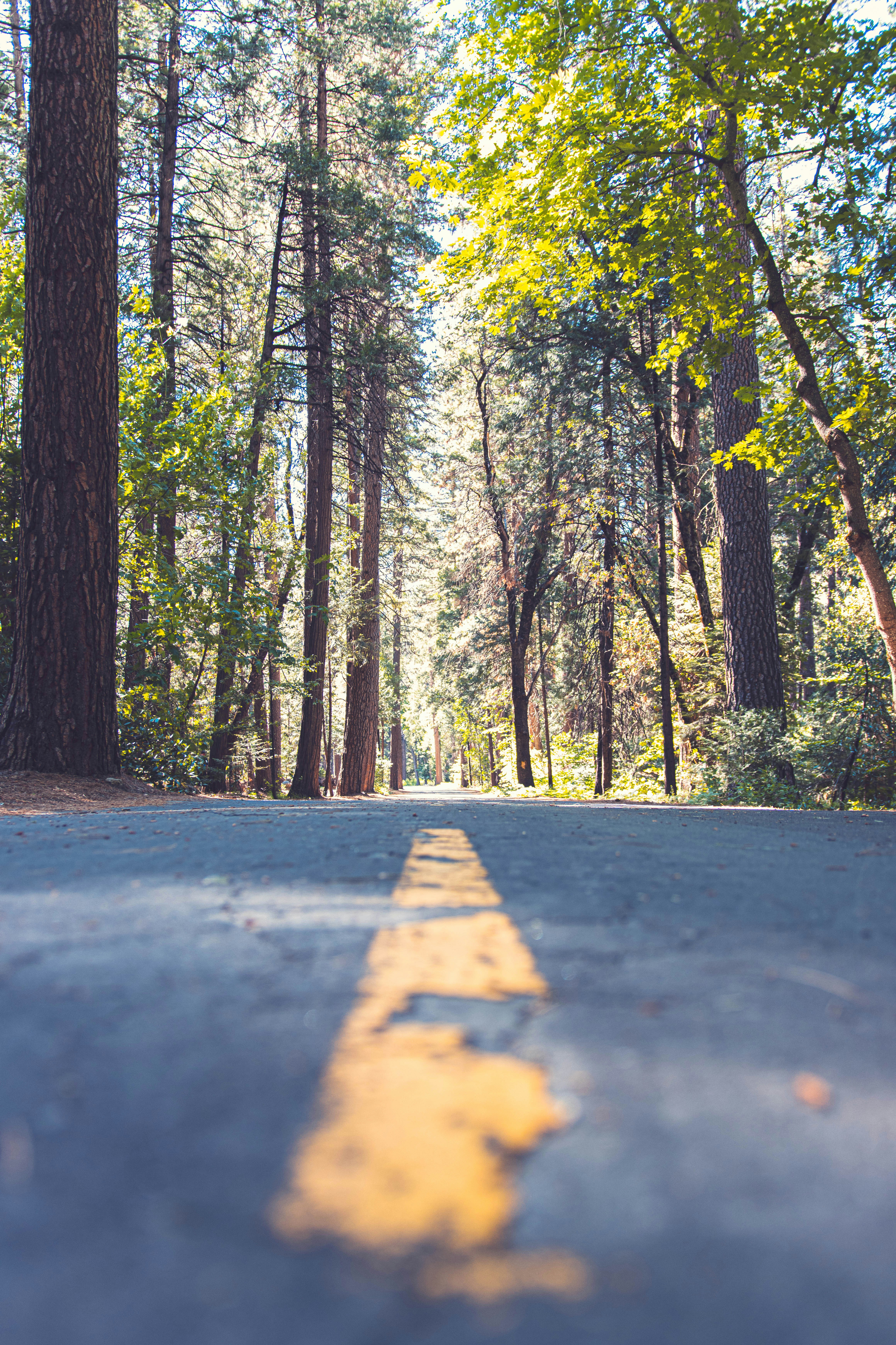 Photo by cristianofirmani