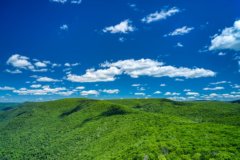 green grass field under blue sky and white clouds during daytime